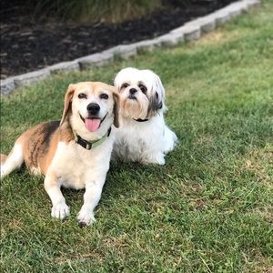 Meet your Posher, Stacy